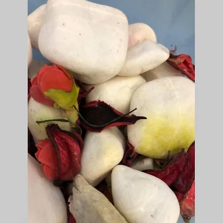 Outstanding 3br Ultracentral Cityview Balcony Aaa Διαμέρισμα Βουκουρέστι